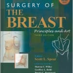 Breast Reconstruction Using Mesh Support